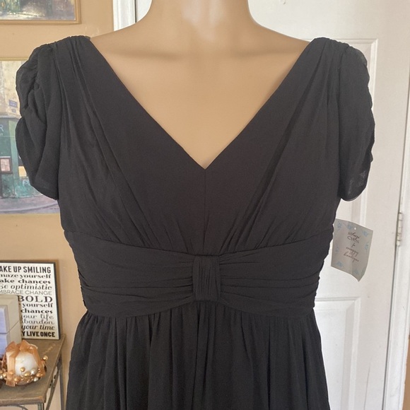Suzy chin nwt dress - Picture 2 of 10